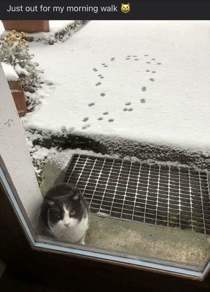 “What Is This Thing?”: 50 Times People Stumbled Upon Mysterious Objects And The Internet Offered Them An Explanation (New Pics) “What Is This Thing?”: 50 Times People Stumbled Upon Mysterious Objects And The Internet Offered Them An Explanation (New Pics)