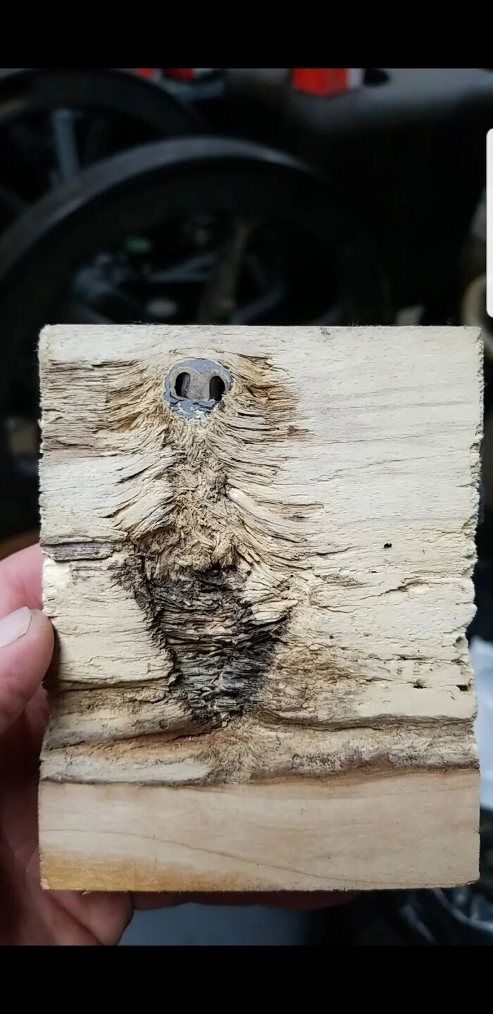 “What Is This Thing?”: 50 Times People Stumbled Upon Mysterious Objects And The Internet Offered Them An Explanation (New Pics) “What Is This Thing?”: 50 Times People Stumbled Upon Mysterious Objects And The Internet Offered Them An Explanation (New Pics)