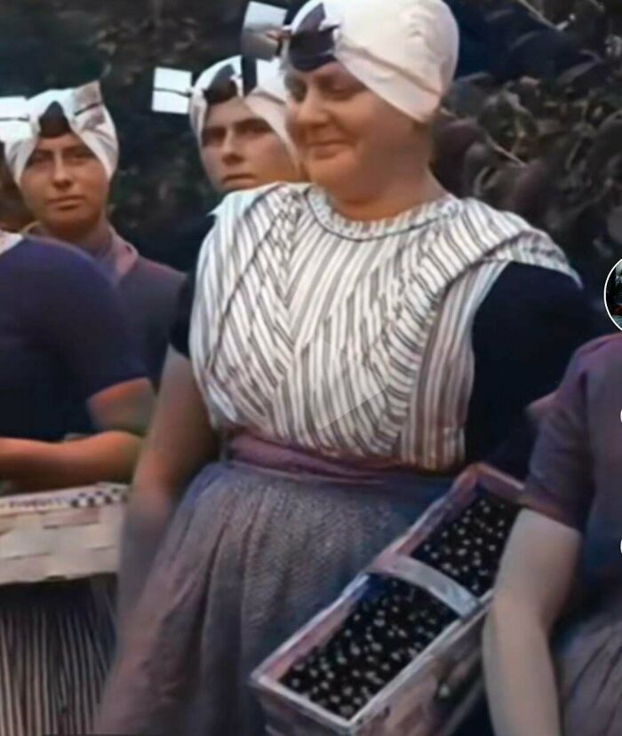 “What Is This Thing?”: 50 Times People Stumbled Upon Mysterious Objects And The Internet Offered Them An Explanation (New Pics) “What Is This Thing?”: 50 Times People Stumbled Upon Mysterious Objects And The Internet Offered Them An Explanation (New Pics)