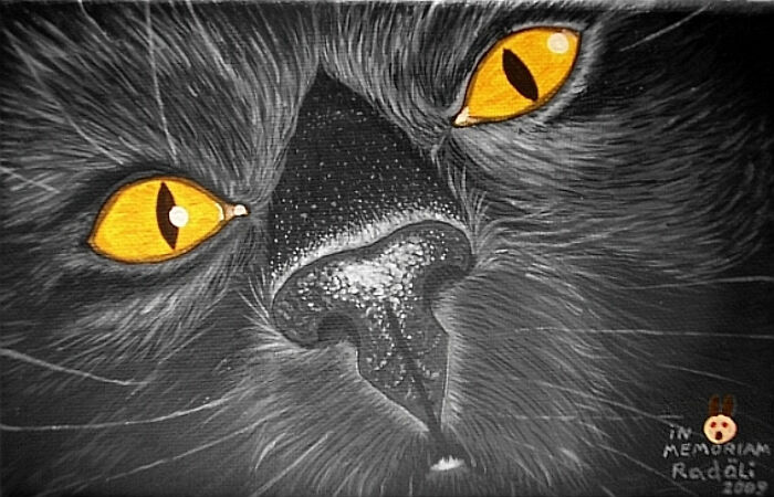 Hey Pandas, Draw A Picture Of Your Pet Doing Something Weird And Share The Results (Closed) Hey Pandas, Draw A Picture Of Your Pet Doing Something Weird And Share The Results (Closed)