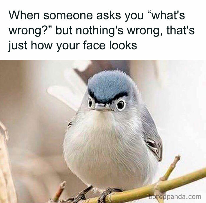 50 Memes That You Might Like If You Don’t Really Like People (New Pics) 50 Memes That You Might Like If You Don’t Really Like People (New Pics)