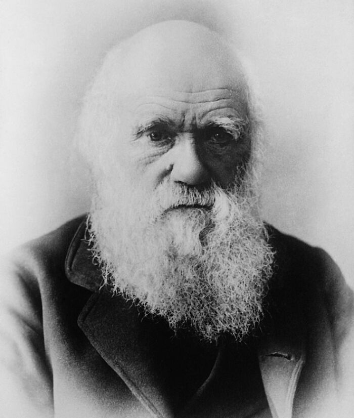 180 Bar Trivia Questions We Just Can&#8217;t Wait To Answer