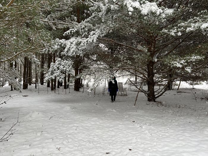 Hey Pandas, Show Us The First Snow In Your Country (Closed) Hey Pandas, Show Us The First Snow In Your Country (Closed)