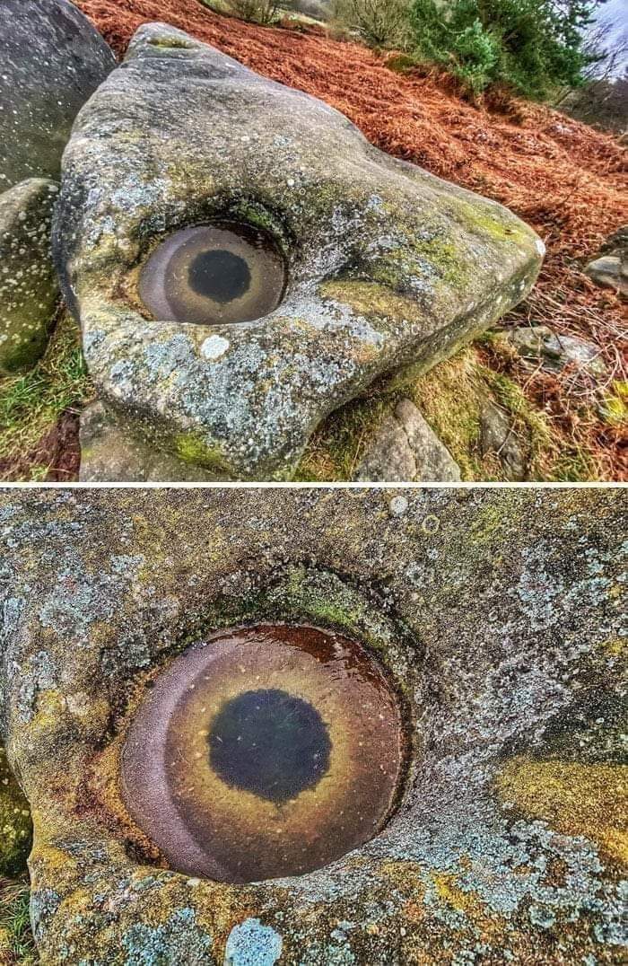 “Oddly Terrifying”: 50 Times People Spotted Creepy Things And Just Had To Share Them (New Pics) “Oddly Terrifying”: 50 Times People Spotted Creepy Things And Just Had To Share Them (New Pics)
