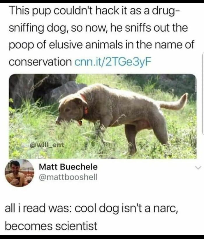 ‘Bad Science Jokes’: 40 Nerdy Posts That Are So Bad, They’re Actually Good (New Pics) ‘Bad Science Jokes’: 40 Nerdy Posts That Are So Bad, They’re Actually Good (New Pics)