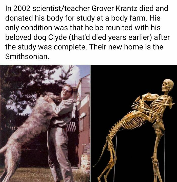 ‘Bad Science Jokes’: 40 Nerdy Posts That Are So Bad, They’re Actually Good (New Pics) ‘Bad Science Jokes’: 40 Nerdy Posts That Are So Bad, They’re Actually Good (New Pics)