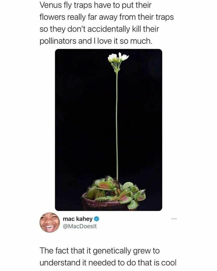 ‘Bad Science Jokes’: 40 Nerdy Posts That Are So Bad, They’re Actually Good (New Pics) ‘Bad Science Jokes’: 40 Nerdy Posts That Are So Bad, They’re Actually Good (New Pics)