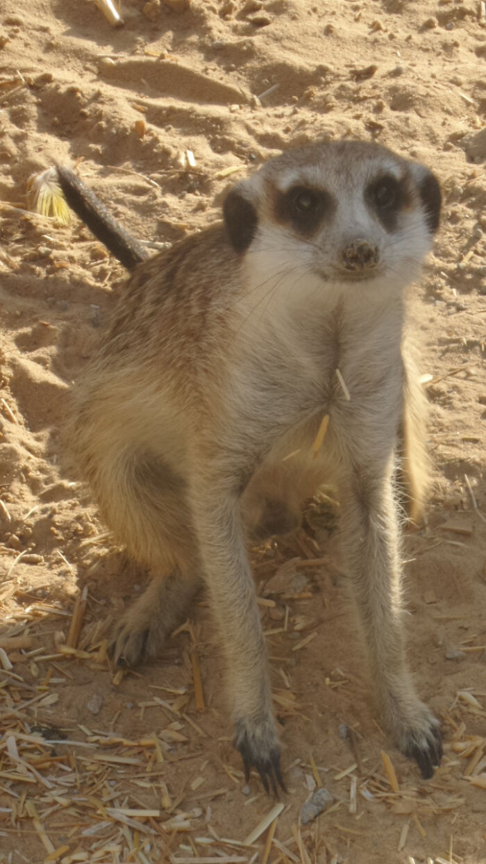 Hey Pandas, Share The Best Christmas Gift You’ve Ever Received (Closed)