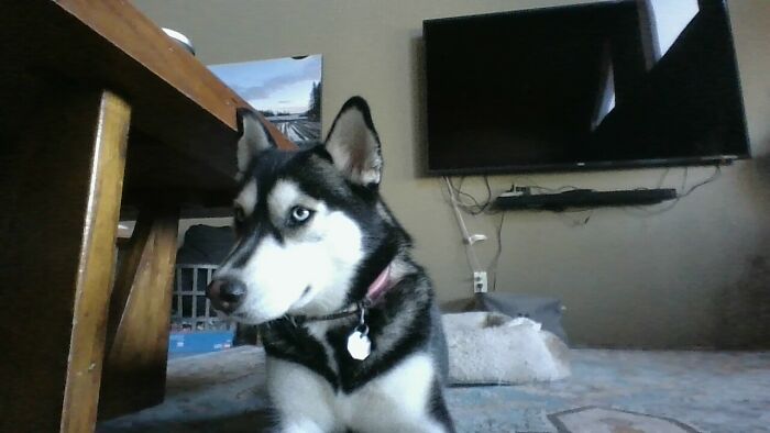 Hey Pandas, Share The Best Christmas Gift You’ve Ever Received (Closed)