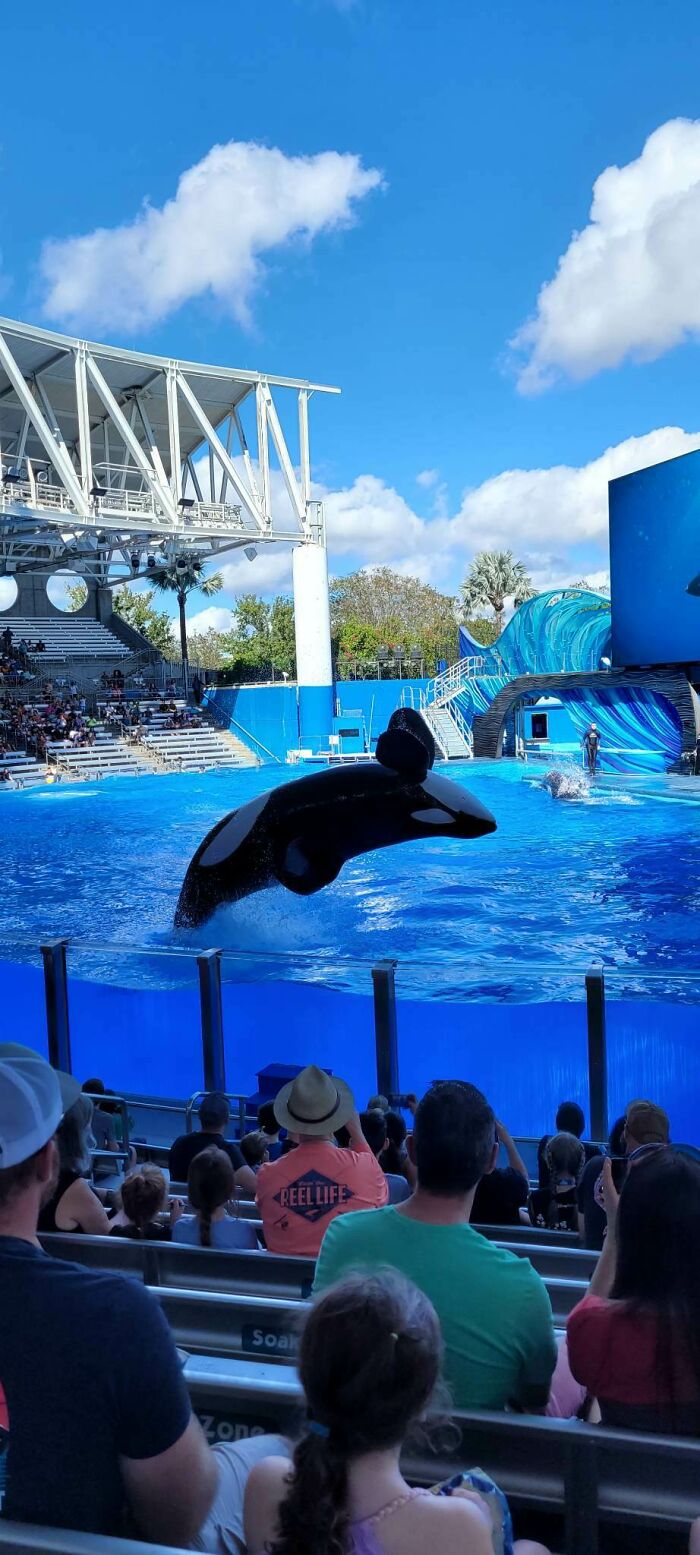 Hey Pandas, Share The Best Christmas Gift You’ve Ever Received (Closed)