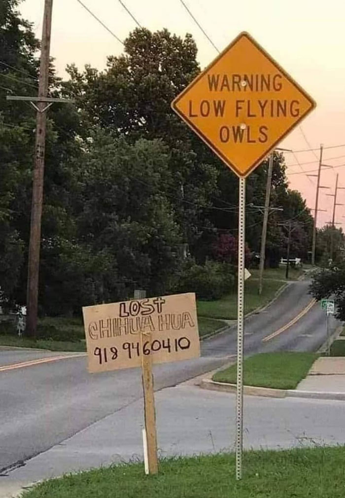 50 Of The Strangest Laugh-Inducing Signs People Spotted In Public, Shared In This Online Group 50 Of The Strangest Laugh-Inducing Signs People Spotted In Public, Shared In This Online Group