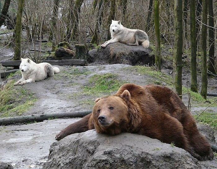 30 People Share Next-To-Impossible Things They Got To Witness 30 People Share Next-To-Impossible Things They Got To Witness