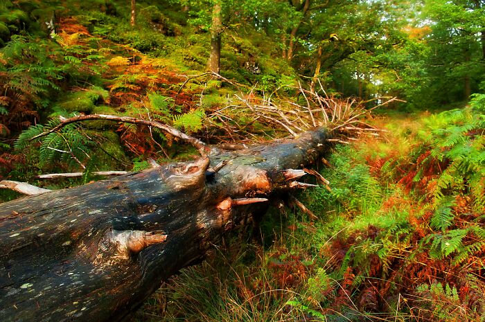 30 People Share Next-To-Impossible Things They Got To Witness 30 People Share Next-To-Impossible Things They Got To Witness