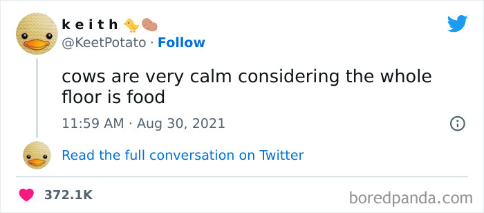 50 Of The Most Hilarious Tweets Of All Time That Will Probably Make Your Day 50 Of The Most Hilarious Tweets Of All Time That Will Probably Make Your Day