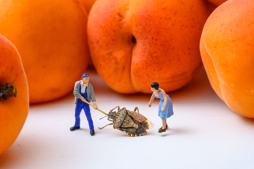 I Turn Everyday Objects Into Surreal Miniature Worlds (34 New Pics)