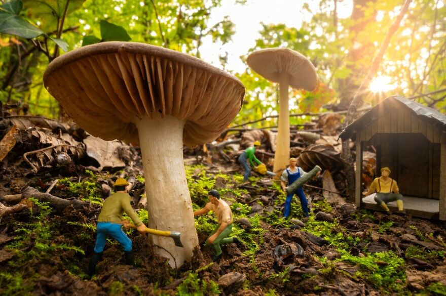 I Turn Everyday Objects Into Surreal Miniature Worlds (34 New Pics) I Turn Everyday Objects Into Surreal Miniature Worlds (34 New Pics)