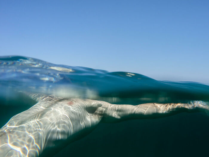 Water Reveals And Water Hides In The Poetic Project &#8216;This Is Water&#8217; By Ann Prochilo (18 Pics)