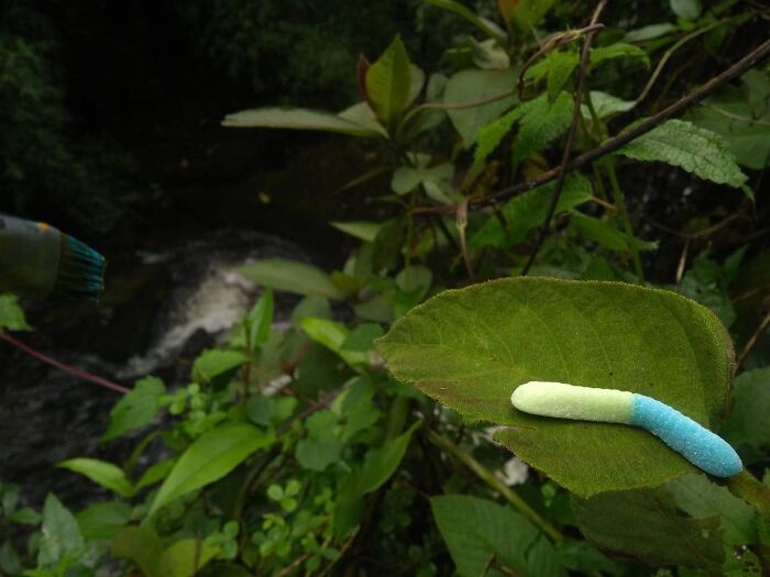 40 Times People Spotted Food In Places It Shouldn’t Be And Just Had To Share Pics In This Online Group 40 Times People Spotted Food In Places It Shouldn’t Be And Just Had To Share Pics In This Online Group