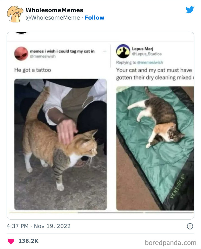 50 Wholesome Memes As Shared By This Page To Brighten Up Your Day (New Pics) 50 Wholesome Memes As Shared By This Page To Brighten Up Your Day (New Pics)