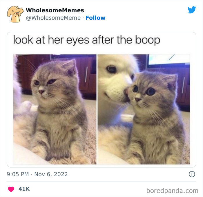 50 Wholesome Memes As Shared By This Page To Brighten Up Your Day (New Pics) 50 Wholesome Memes As Shared By This Page To Brighten Up Your Day (New Pics)