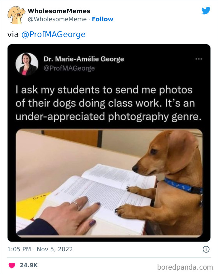 50 Wholesome Memes As Shared By This Page To Brighten Up Your Day (New Pics) 50 Wholesome Memes As Shared By This Page To Brighten Up Your Day (New Pics)