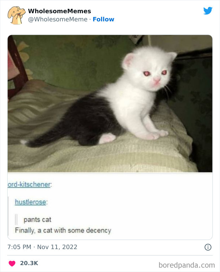 50 Wholesome Memes As Shared By This Page To Brighten Up Your Day (New Pics) 50 Wholesome Memes As Shared By This Page To Brighten Up Your Day (New Pics)