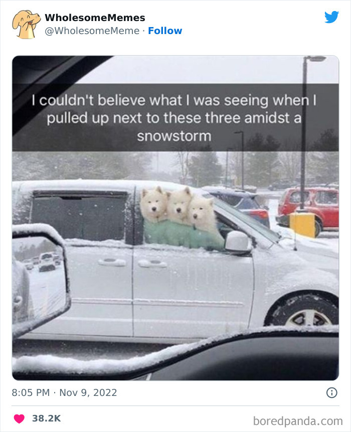 50 Wholesome Memes As Shared By This Page To Brighten Up Your Day (New Pics) 50 Wholesome Memes As Shared By This Page To Brighten Up Your Day (New Pics)