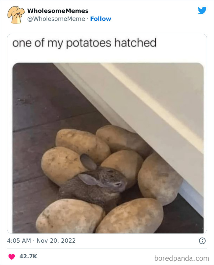 50 Wholesome Memes As Shared By This Page To Brighten Up Your Day (New Pics) 50 Wholesome Memes As Shared By This Page To Brighten Up Your Day (New Pics)