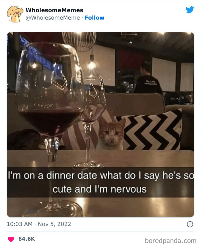 50 Wholesome Memes As Shared By This Page To Brighten Up Your Day (New Pics) 50 Wholesome Memes As Shared By This Page To Brighten Up Your Day (New Pics)