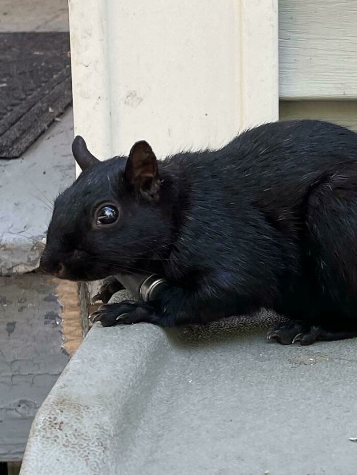 50 Times People Came Across Something ‘Mildly Interesting’ And Just Had To Share It With Everyone (New Pics) 50 Times People Came Across Something ‘Mildly Interesting’ And Just Had To Share It With Everyone (New Pics)