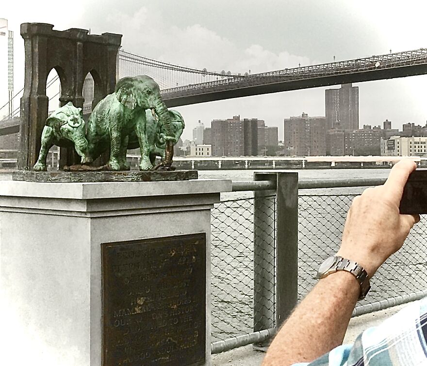 A Monument To The Brooklyn Bridge Elephant Stampede Of 1929