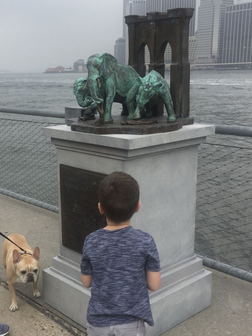 A Monument To The Brooklyn Bridge Elephant Stampede Of 1929