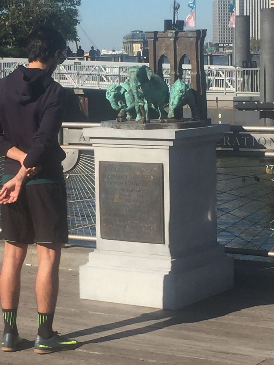 A Monument To The Brooklyn Bridge Elephant Stampede Of 1929