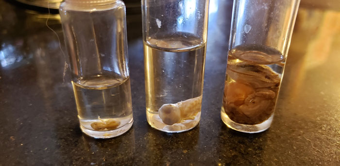 30 Times People Stepped Into Someone Else’s House And Just Had To Share The Weird Things That They Saw 30 Times People Stepped Into Someone Else’s House And Just Had To Share The Weird Things That They Saw