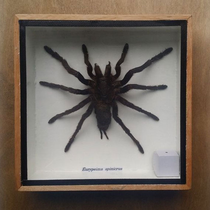 30 Times People Stepped Into Someone Else’s House And Just Had To Share The Weird Things That They Saw 30 Times People Stepped Into Someone Else’s House And Just Had To Share The Weird Things That They Saw