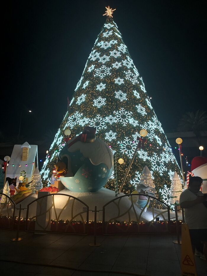 Hey Pandas From Around The World, Post A Picture Of The Holidays In Your Area Hey Pandas From Around The World, Post A Picture Of The Holidays In Your Area