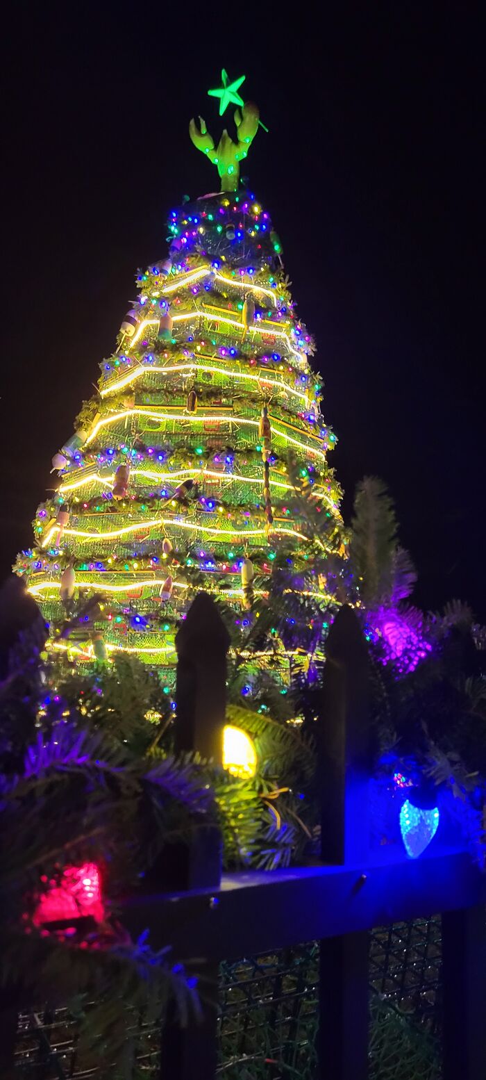 Hey Pandas From Around The World, Post A Picture Of The Holidays In Your Area Hey Pandas From Around The World, Post A Picture Of The Holidays In Your Area