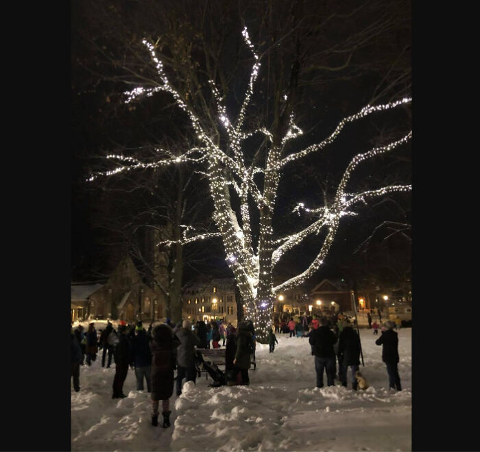 Hey Pandas From Around The World, Post A Picture Of The Holidays In Your Area Hey Pandas From Around The World, Post A Picture Of The Holidays In Your Area