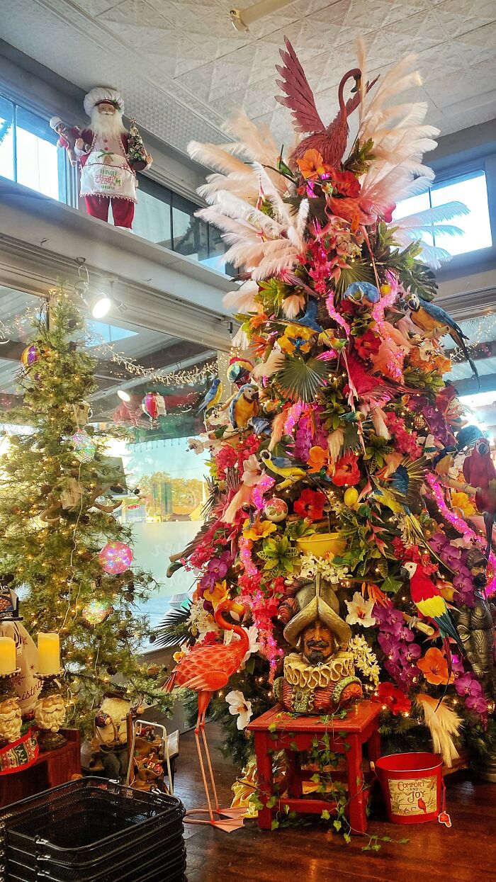 Hey Pandas From Around The World, Post A Picture Of The Holidays In Your Area Hey Pandas From Around The World, Post A Picture Of The Holidays In Your Area