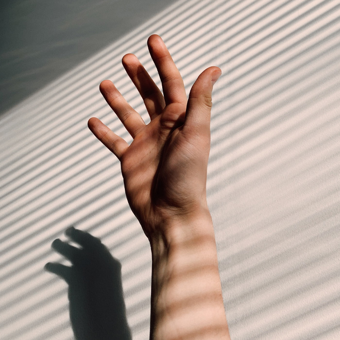 60 Of The Weirdest Guinness World Records You Might&#8217;ve Not Heard Of