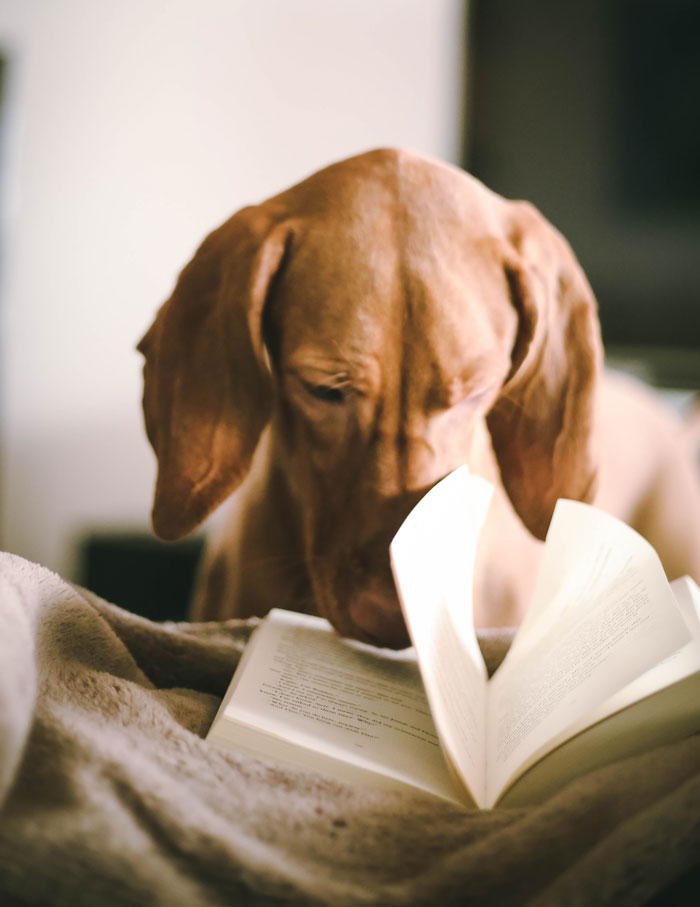 60 Good Habits To Increase Your Mental Well-Being In The Next 12 Months 60 Good Habits To Increase Your Mental Well-Being In The Next 12 Months