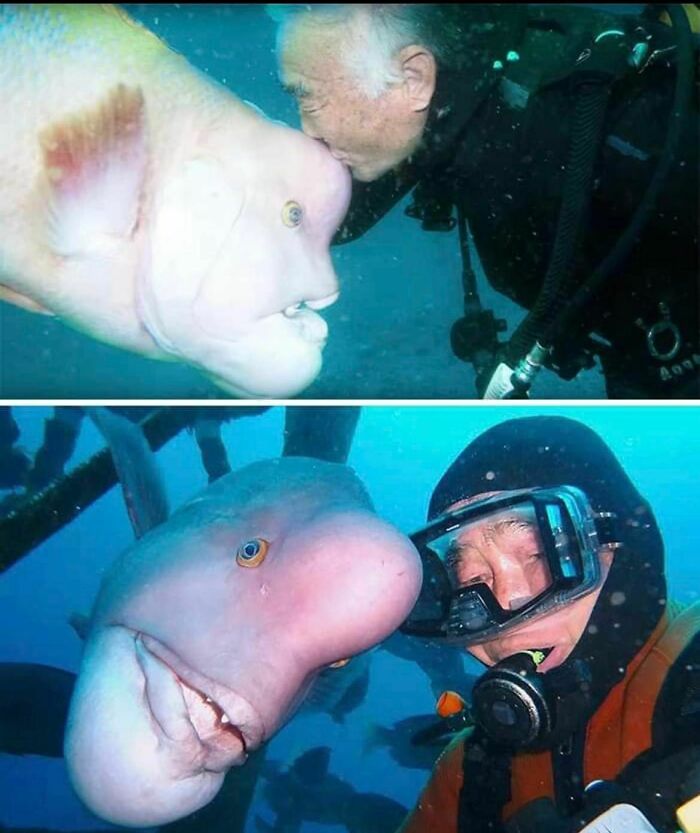 45 Photos That Show Why Japan Is A Country Like No Other, As Shared By This Online Project 45 Photos That Show Why Japan Is A Country Like No Other, As Shared By This Online Project