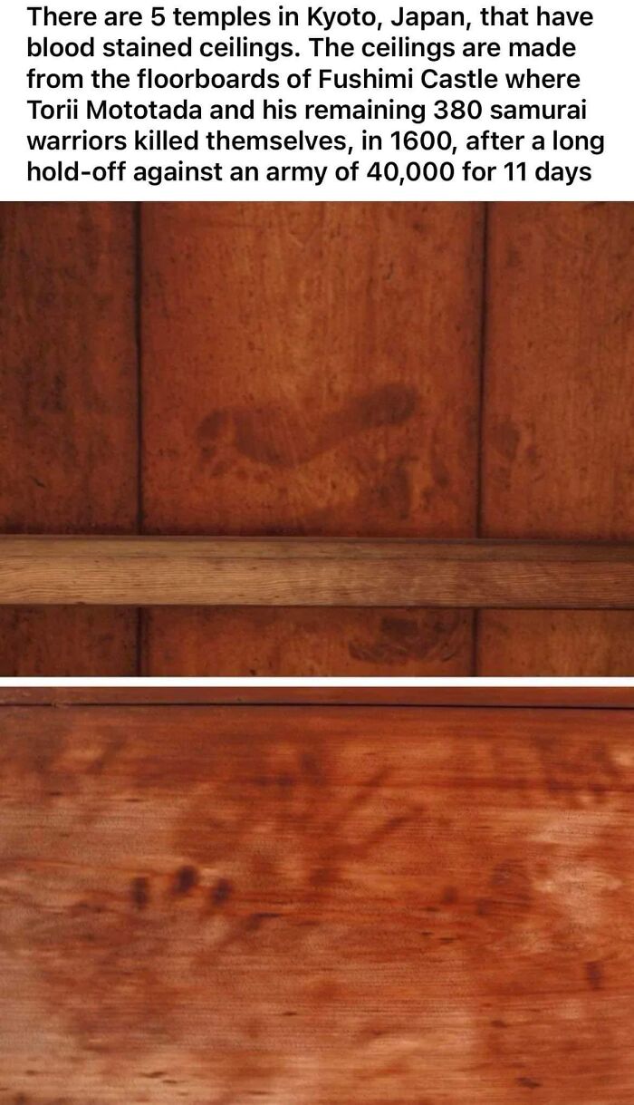 45 Photos That Show Why Japan Is A Country Like No Other, As Shared By This Online Project 45 Photos That Show Why Japan Is A Country Like No Other, As Shared By This Online Project