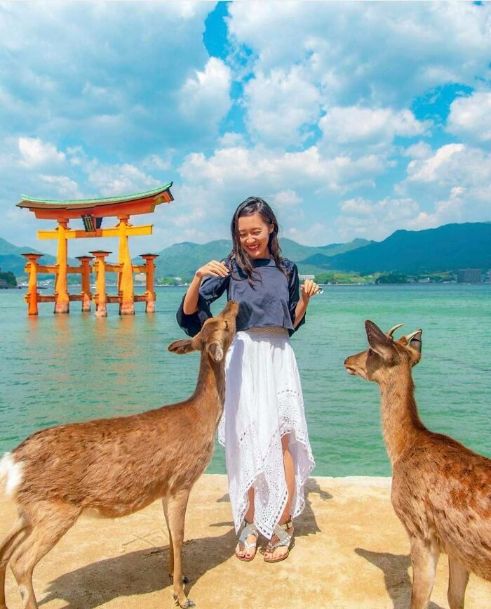45 Photos That Show Why Japan Is A Country Like No Other, As Shared By This Online Project 45 Photos That Show Why Japan Is A Country Like No Other, As Shared By This Online Project