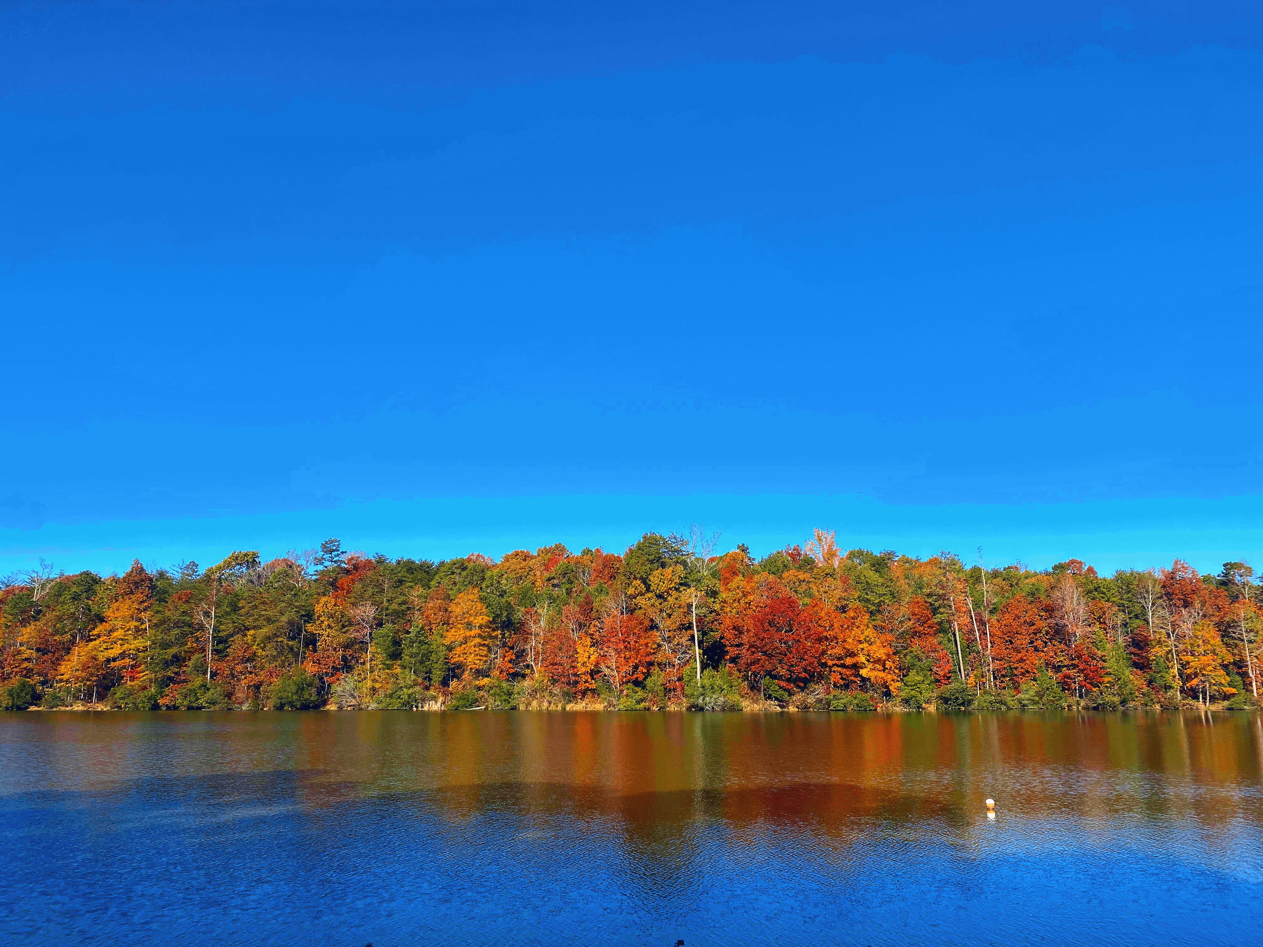 My Retina Detached And This Is What It Looked Like &#8220;Through My Eyes&#8221;