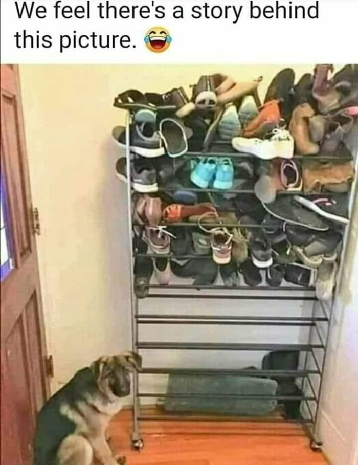 &#8220;What&#8217;s Wrong With Your Dog?&#8221;: 50 Hilarious Times Dogs Seemed To Malfunction Hard (New Pics)