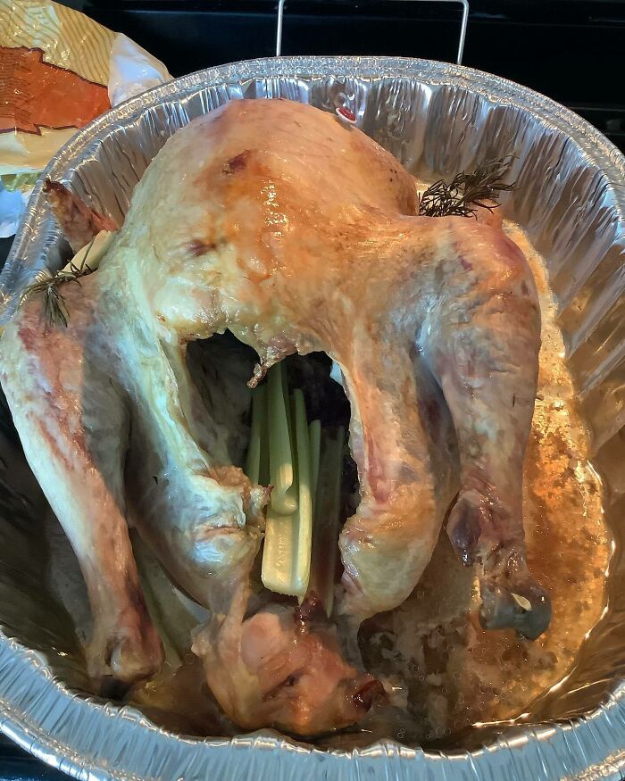 32 People Who Had A Worse Thanksgiving Day Than You