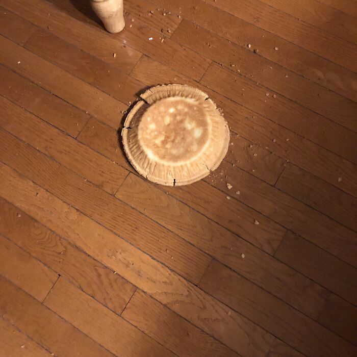 32 People Who Had A Worse Thanksgiving Day Than You