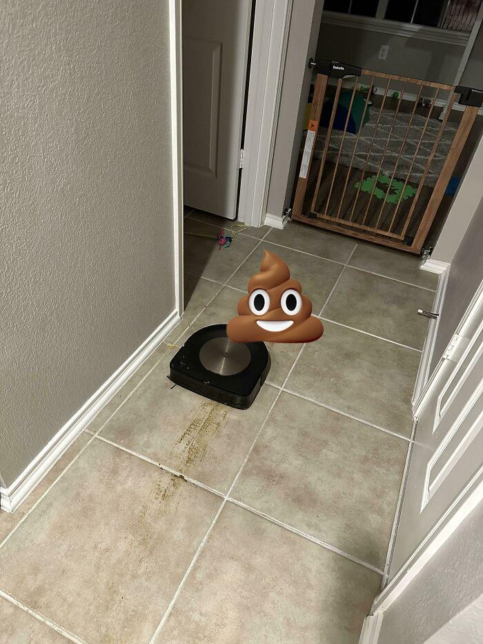 32 People Who Had A Worse Thanksgiving Day Than You