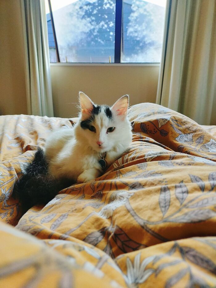 Hey Pandas, Show Us The Coziest Place In Your Home (Closed)